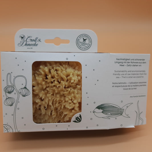 Natürlicher Meerschwamm