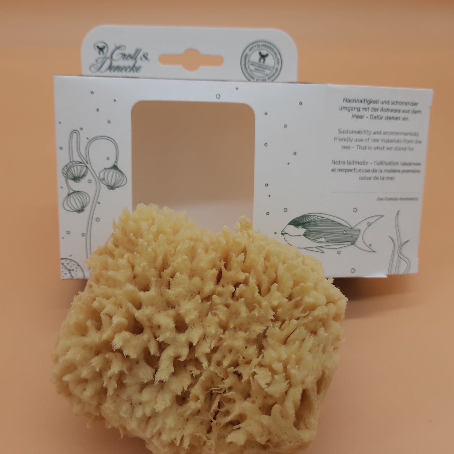 ausgepackter Meerschwamm