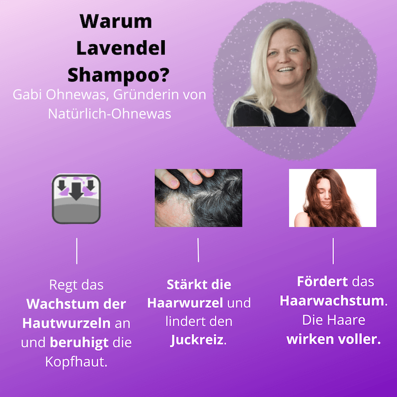 Lavendel – gegen Schuppen