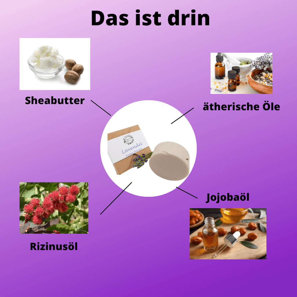 Lavendel – gegen Schuppen