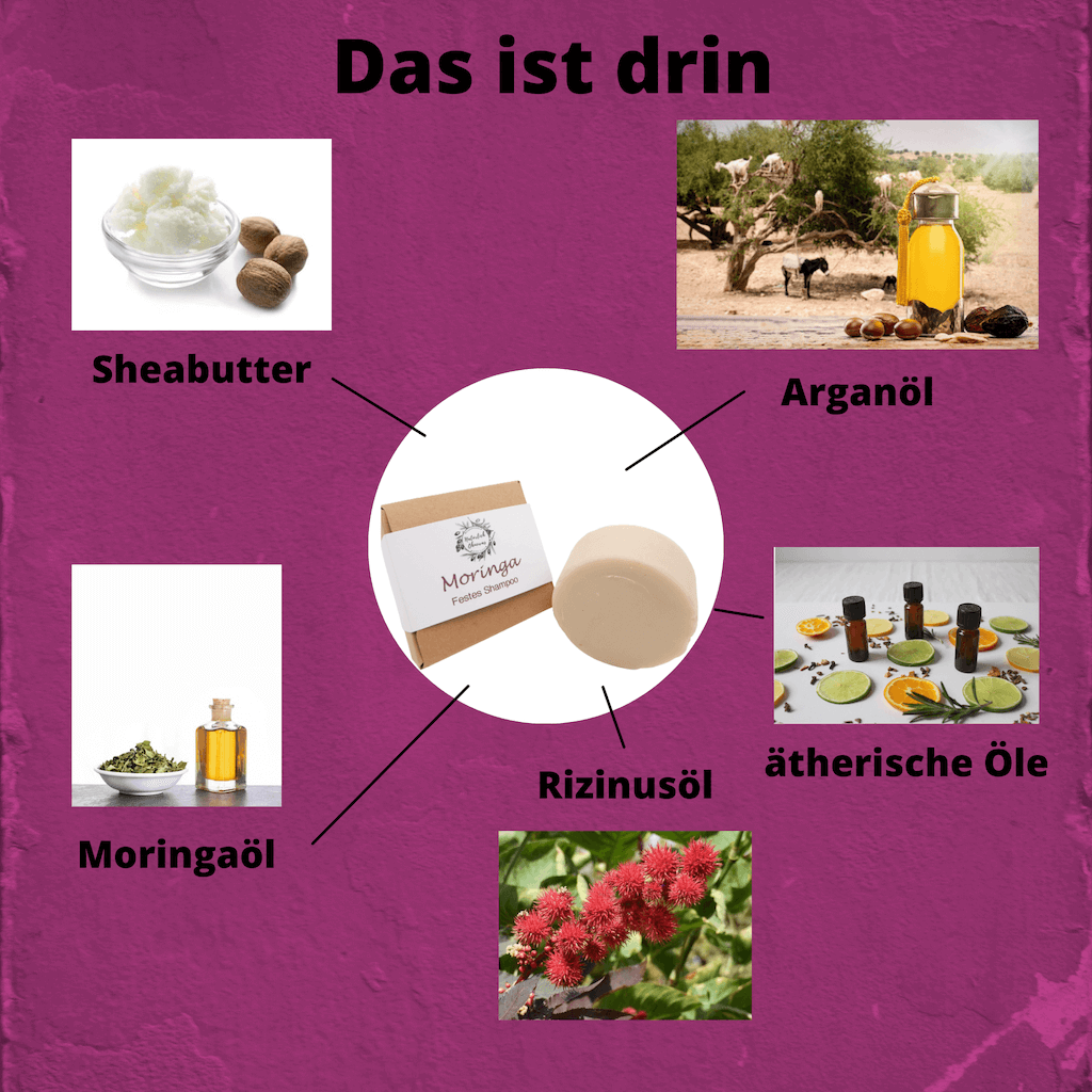 Moringa – die Vitaminbombe für Dein Haar