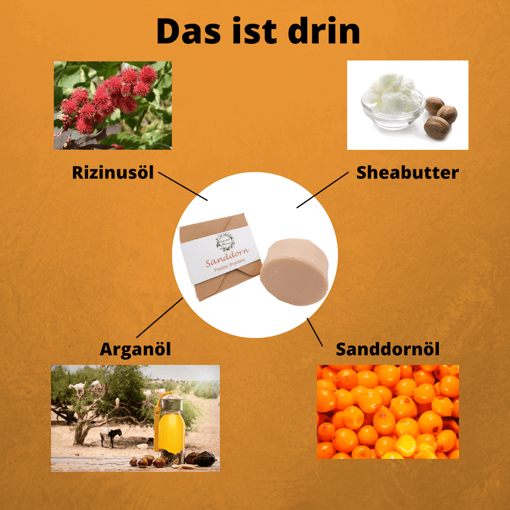 Sanddorn – reich an Vitaminen